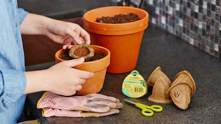 Keurig-Like Miracle-Gro Seed Pods Make Gardening Idiot-Proof
